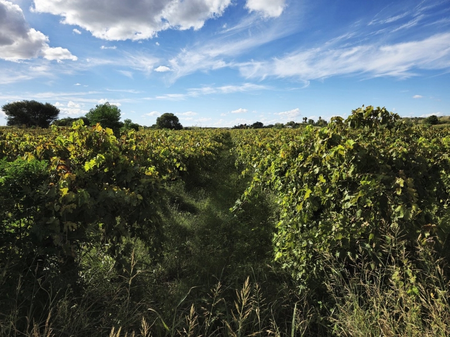 Commercial Property for Sale in Upington Rural Northern Cape